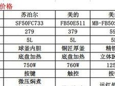 电饭煲漏气的常见原因及解决方法（解决电饭煲漏气问题的关键点）