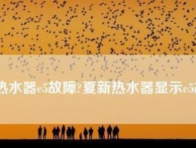 夏普热水器E6报警故障解决方法（掌握E6报警故障的原因和解决办法）