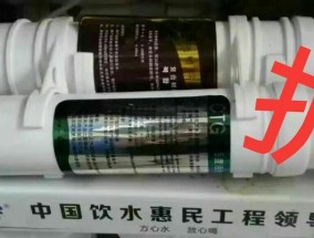 净水器不合格的原因及解决方法（揭示净水器不合格现象的背后原因）