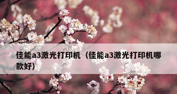 佳能复印机2002g故障解决方案（解决佳能复印机2002g故障的实用方法）  第3张