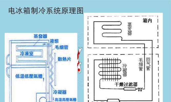 冰箱接水槽结冰的原因及有效除冰方法（为什么冰箱接水槽会结冰）  第1张